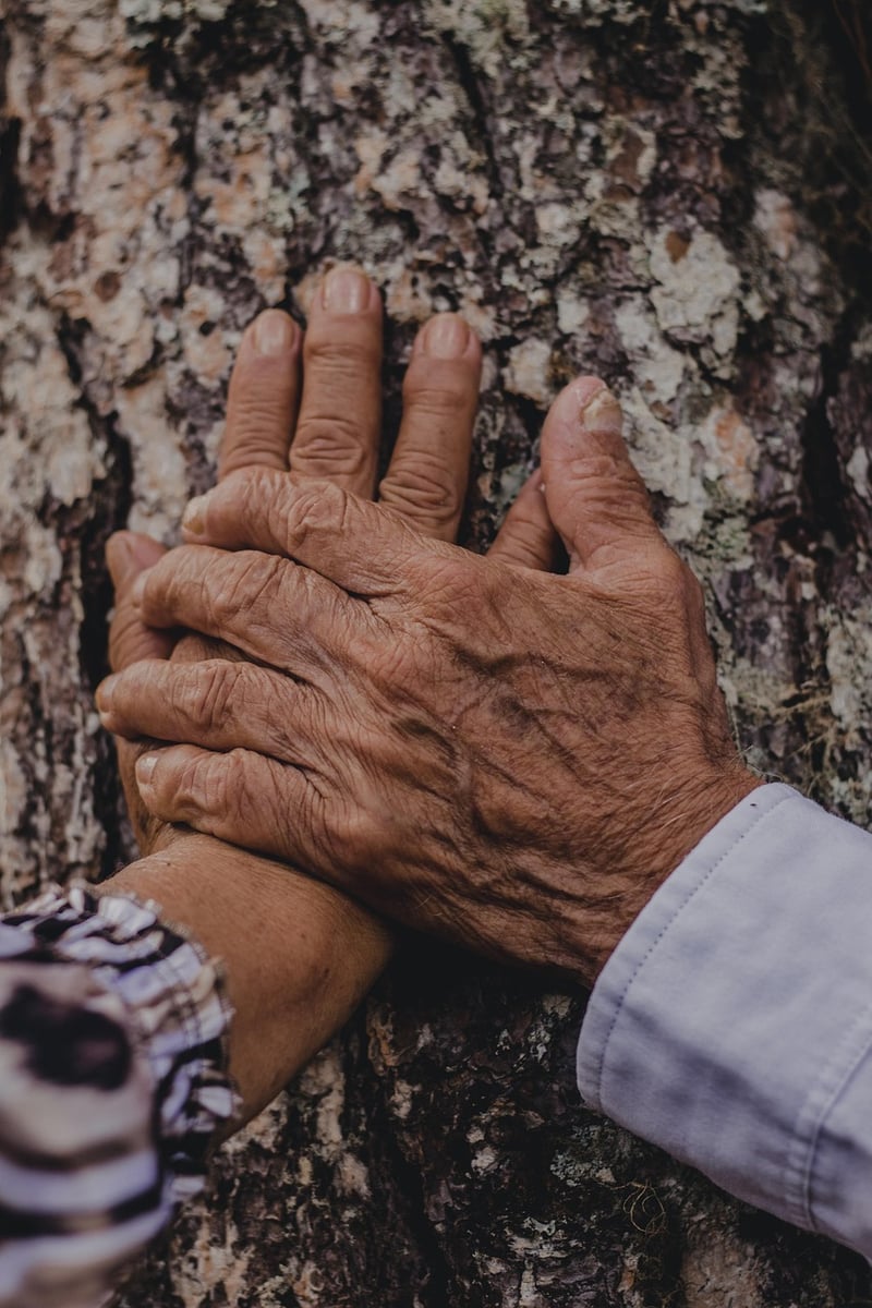 Elderly Couple Hands Love