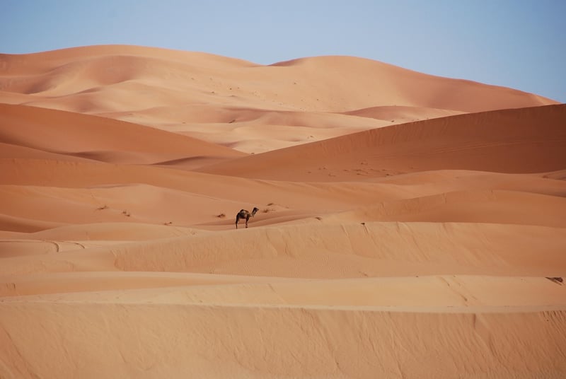 Morocco Desert Landscape